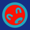 zidit